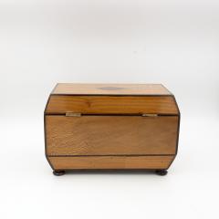 Early 19th Century Solid Lacewood Box with Campaign Handles - 4450978