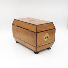 Early 19th Century Solid Lacewood Box with Campaign Handles - 4450979
