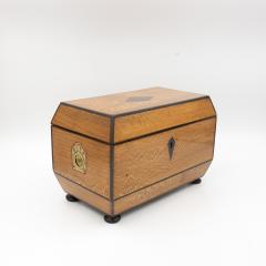 Early 19th Century Solid Lacewood Box with Campaign Handles - 4450980