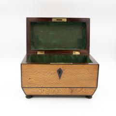 Early 19th Century Solid Lacewood Box with Campaign Handles - 4450981