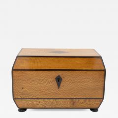 Early 19th Century Solid Lacewood Box with Campaign Handles - 4454453