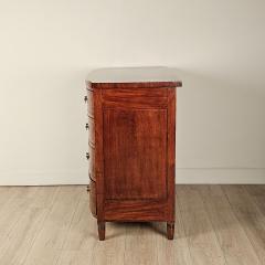 Early 19th Century Tiger Striped Mahogany Chest England circa 1810 - 4552044