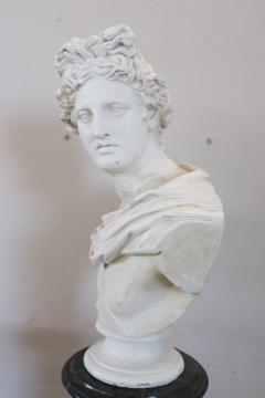 Early 20th Century Italian Sculpture Bust of Apollo in Plaster - 2634495