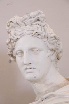 Early 20th Century Italian Sculpture Bust of Apollo in Plaster - 2634496