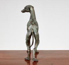 Early 20th c Patinated Solid Bronze Sculpture of a Lean Italian Greyhound - 4513017