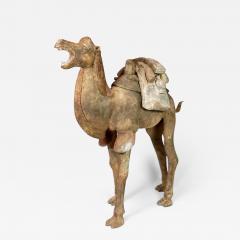 Early Tang Dynasty Camel - 1953545