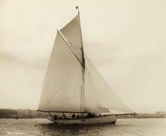 Early silver gelatin photograph print of the Gaff rigged yacht Wayward - 1369447