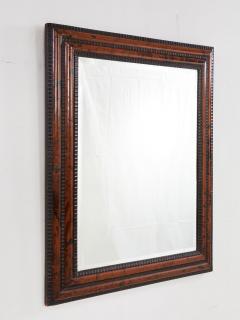 Ebony and Faux Tortoise Mirror - 3666507