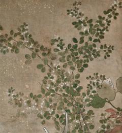 Edo period Japanese Screen Spotted Deer and Autumn Flowers - 4533081