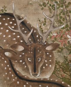 Edo period Japanese Screen Spotted Deer and Autumn Flowers - 4533082