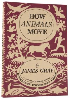 Edward Bawden How Animals Move by Edward BAWDEN - 3228392