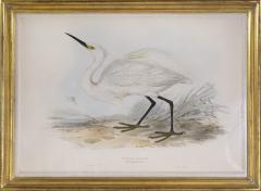 Edward Lear A Group of Four Wading Birds - 2662132