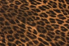 Edward Wormley Edward J Wormley for Dunbar American Mid Century Vinyl Leopard Print Upholstered - 4644101