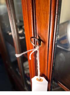 Edwardian Mahogany Vitrine Cabinet - 3147059