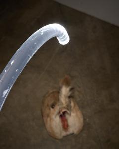 Edy ten Berge King Transparent Acrylic Floor Lamp 1980s - 4499333