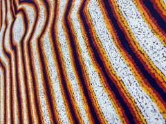 Eileen Napatjarri Large Abstract Dreamtime Aboriginal Painting by Eileen Napatjarri - 4265516
