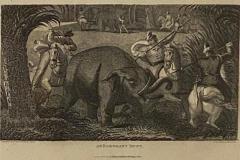 Elephant Capture Engraving England Circa 1820 - 1655950