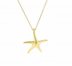 Elsa Peretti ELSA PERETTI FOR TIFFANY CO STARFISH PENDANT - 2866843