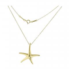 Elsa Peretti ELSA PERETTI FOR TIFFANY CO STARFISH PENDANT - 2870417