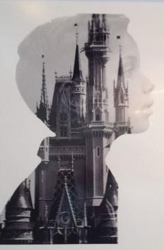 Emily Baratz Emily Baratz Original Photography 2017 - 4654803