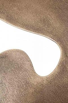 Emmanuel Babled Quark Bronze - 461091