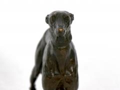 Emmanuel Fremiet French Antique Bronze Sculpture of a Greyhound Dog by Emmanuel Fremiet - 1009524