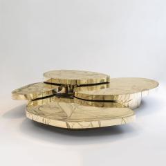 Emmanuel Jonckers MAGIC CELLS COFFEE TABLE SET - 2191646
