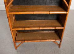 English 19th Century Bamboo and D coupage Fish Bookcase - 1099534