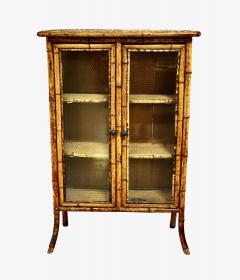English 19th Century Scorched Bamboo Glazed Bookcase - 4812812