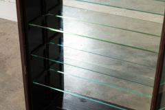 English 19thC Mahogany Glazed Chemist Cabinet - 4477112