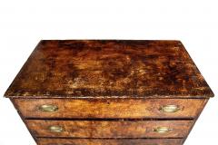 English Antique Mid 19th Century Three Drawer Glazed Chest of Drawers - 4502725