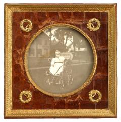 English Brown Crocodile Picture Frame - 4709507
