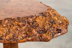 English Burr walnut Oak Coffee Table - 4355574
