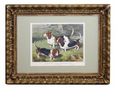 English Chromolithograph of Basset Hounds circa 1881 - 1223036