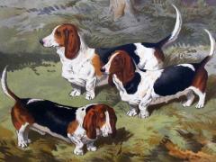 English Chromolithograph of Basset Hounds circa 1881 - 1223041