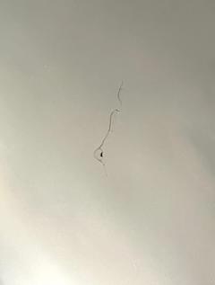 English George III Giltwood and Ebonized Frame Convex Mirror circa 1800 - 4528862