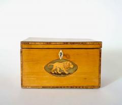 English George III Satinwood Inlaid Aesops Fables Tea Caddy circa 1800 - 3993012