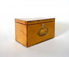 English George III Satinwood Inlaid Aesops Fables Tea Caddy circa 1800 - 3993013