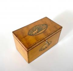 English George III Satinwood Inlaid Aesops Fables Tea Caddy circa 1800 - 3993015