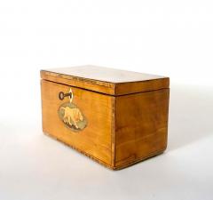 English George III Satinwood Inlaid Aesops Fables Tea Caddy circa 1800 - 3993016