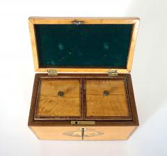 English George III Satinwood Inlaid Aesops Fables Tea Caddy circa 1800 - 3993019