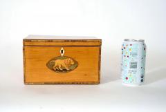 English George III Satinwood Inlaid Aesops Fables Tea Caddy circa 1800 - 3993022