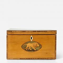 English George III Satinwood Inlaid Aesops Fables Tea Caddy circa 1800 - 3993430