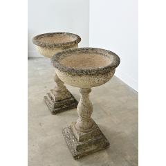 English Pair of 19th Century Cast Stone Planters - 4549945