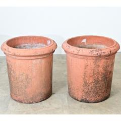 English Pair of Large 20th Century Terracotta Planters - 4798662