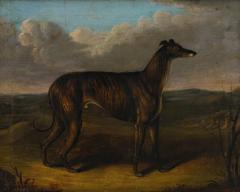 English Portrait of a Prize Winning Greyhound The Sultan by J Thompson 1838 - 4221474