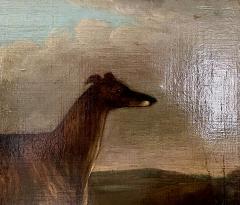English Portrait of a Prize Winning Greyhound The Sultan by J Thompson 1838 - 4221478