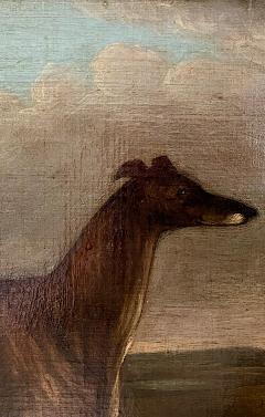 English Portrait of a Prize Winning Greyhound The Sultan by J Thompson 1838 - 4221479