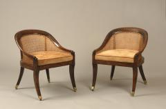 English Regency Period Simulated Rosewood Small Bergere Library Bedroom Chairs - 1162344