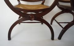 English Regency Style Mahogany and Cane Curule Form Armchairs - 845632